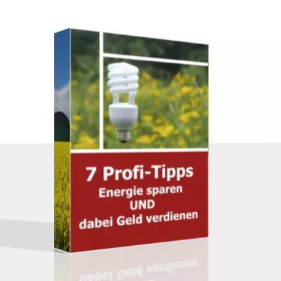 Energiesparen und dabei noch Geld verdienen Bild: Energiesparen und dabei noch Geld verdienen