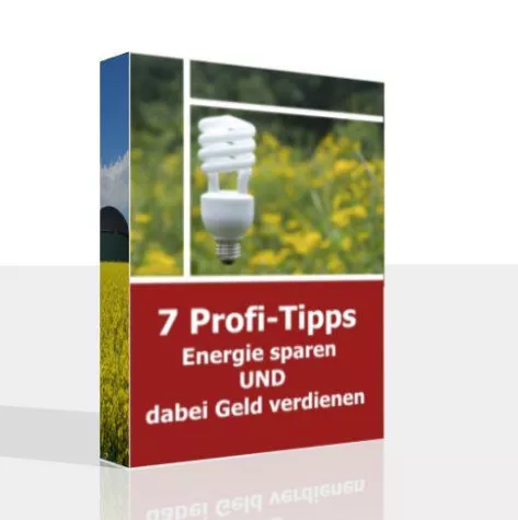 Bild: Energiesparen und dabei noch Geld verdienen