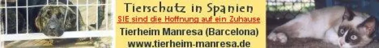Bild: Die Sopranistin Mireia Pinto stellt Tierheimkatzen im Fernsehen vor