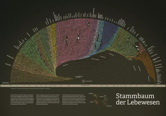 Bild: Eine sehr große Familie: Stammbaum der Lebewesen als Plakat