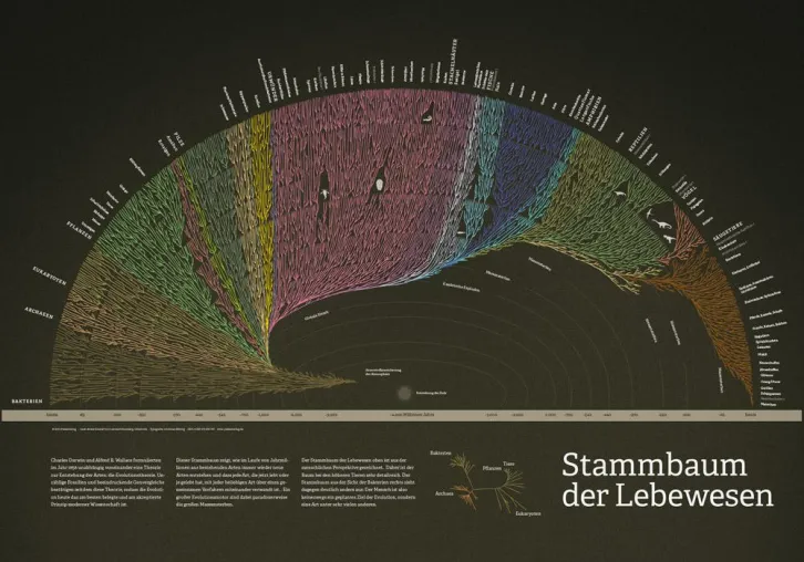 Bild: Eine sehr große Familie: Stammbaum der Lebewesen als Plakat