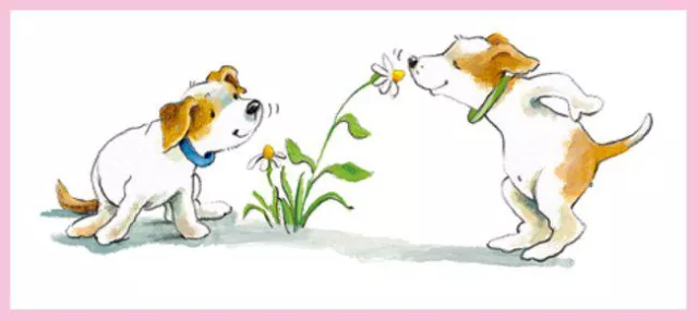 Bild: Die Hunde-Geburtstagsparty des Jahres