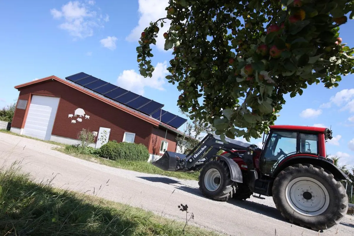 Einer der Themen-Schwerpunkte auf dem EuroTier-Stand: Solarthermie-Einsatz in der Landwirtschaft.