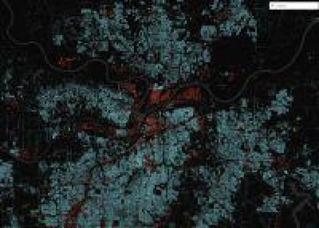 Interaktive Visualisierung von Kansas City - die Gebäudeumrisse entstammten Satellitenfotos und werden automatisch extrahiert.
