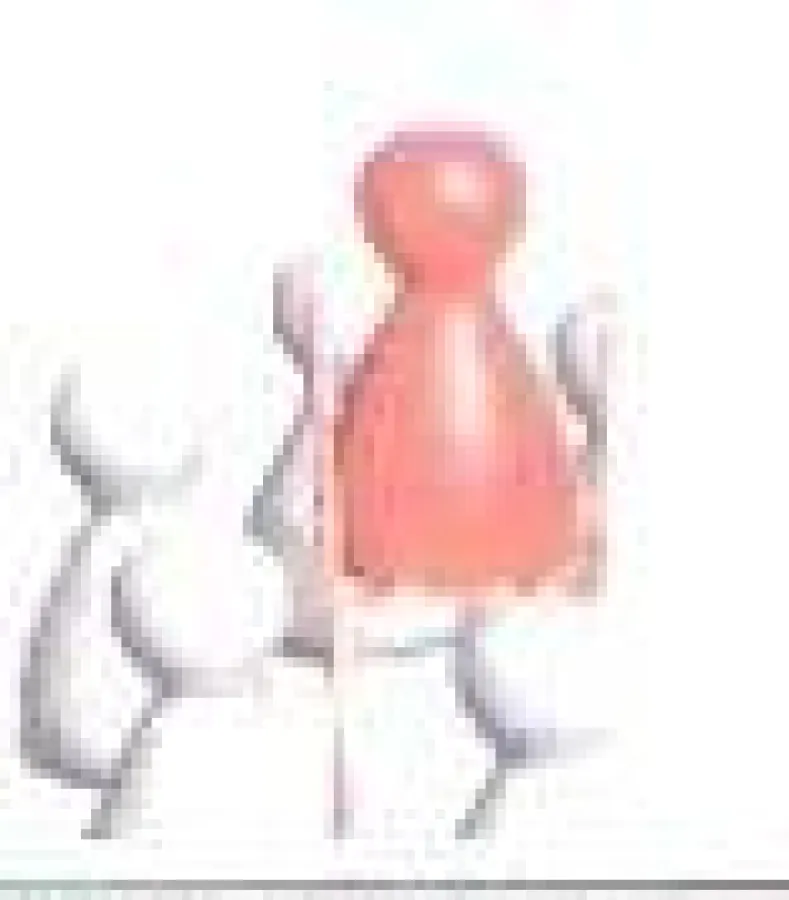 Direkt-Job: kompetent - professionell - individuell