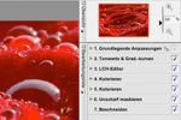 Bild: Tagesseminar Bildbearbeitung mit Nikon Capture NX