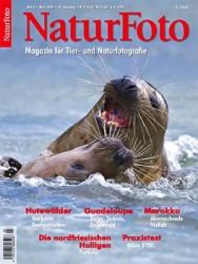 NATURFOTO - Magazin für Tier- und Naturfotografie