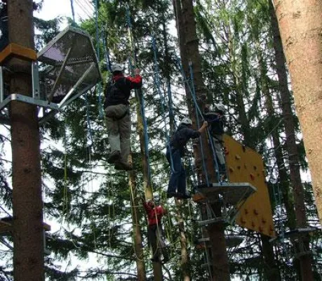 Bild: Keine Höhenangst  im Kletterwald