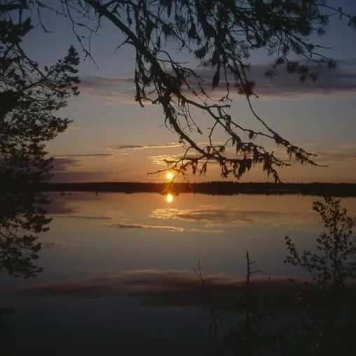 Bild: Fotoreise schwedisch Lappland für Naturfotografen (2 Termine)