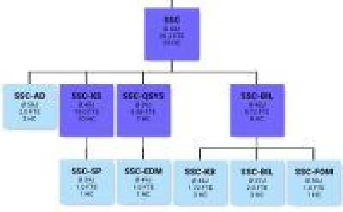 ORGA_MAN ermöglicht eine hierarchische Altersstrukturanalyse mit Drill-Down