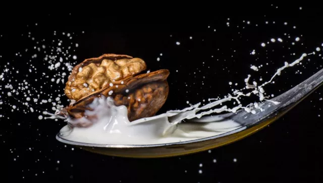 Bild: Fotoworkshop „Splash! Reingefallen!“ in Hannover: Highspeed-Fotografie ohne besondere technische Hilfsmittel