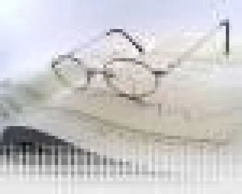 Bild: Beliebtheit steigt bei Anlageformen