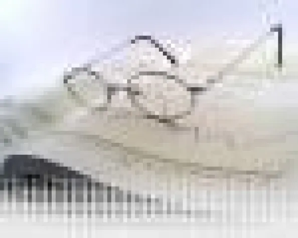 Bild: Beliebtheit steigt bei Anlageformen