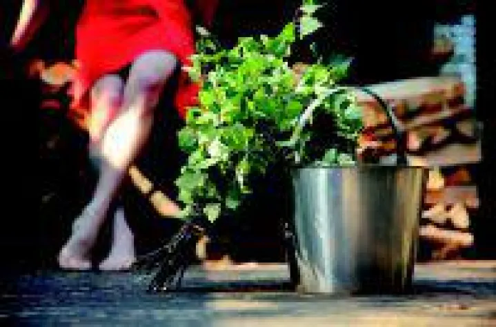 Bild: Wir sind Sauna!