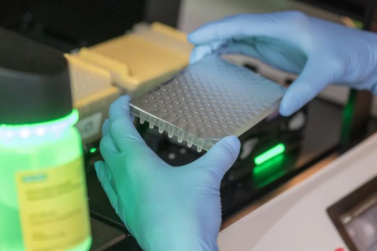 Der Test analysiert RNA-Moleküle via PCR-Technik. Hierfür werden die Proben in so genannte 96-Well-Platten pipettiert, die auf dem Bild zu sehen sind. (Andreas Heddergott / TUM)