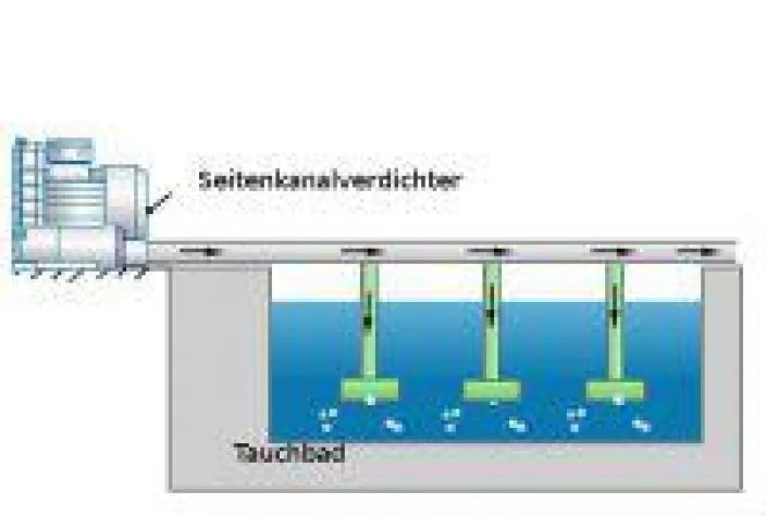 Bild: Seitenkanalverdichter belüften Aquakulturen oder Tauchbäder