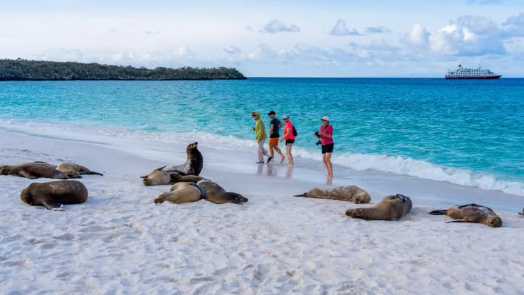 Reisemedizin Weiterbildungen Bild: Reisemedizin Weiterbildungen