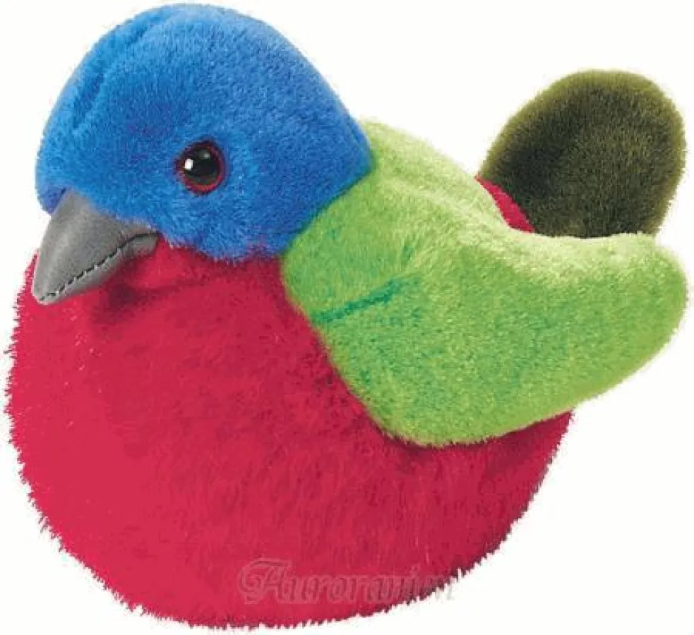 Echte Vögel bei Auroranien