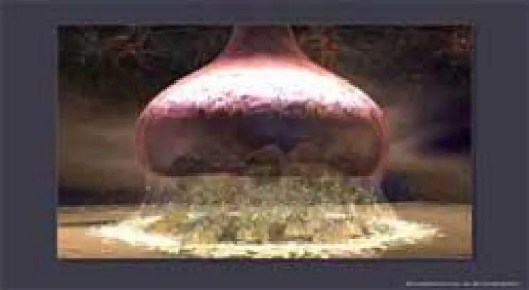 Wissen-Schafft-Bilder 2006 - Siegerbilder und Preisträger Bild: Wissen-Schafft-Bilder 2006 - Siegerbilder und Preisträger