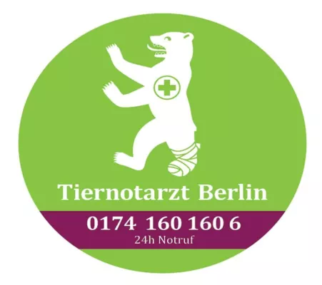 Bild: Hunde und Schokolade? Lieber nicht