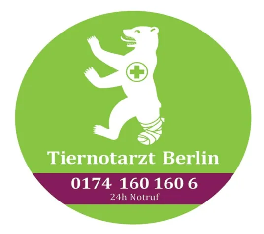 Bild: Hunde und Schokolade? Lieber nicht