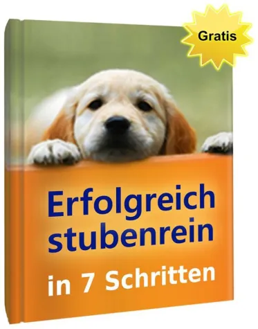 Bild: Welpen erfolgreich erziehen und stubenrein bekommen!