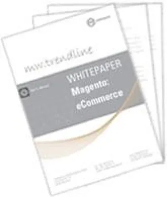 Bild: Magento Whitepaper SEO - Tipps und Grundlagen für die Suchmaschinenoptimierung