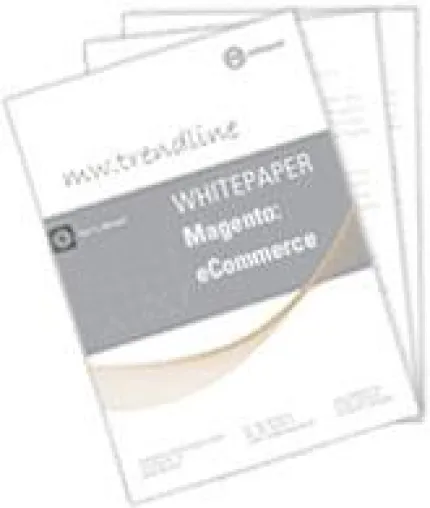 Bild: Magento Whitepaper SEO - Tipps und Grundlagen für die Suchmaschinenoptimierung