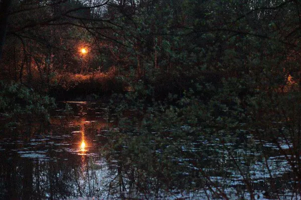 Bild: erleb-bar lädt ein zur kleinen Nachtwanderung