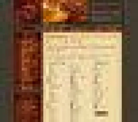 Bild: Tee-Fachhandel – neue individuelle Beratung im Internet