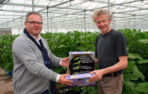 Bild: Bio-Aubergine überzeugt mit Geschmack und Köpfchen