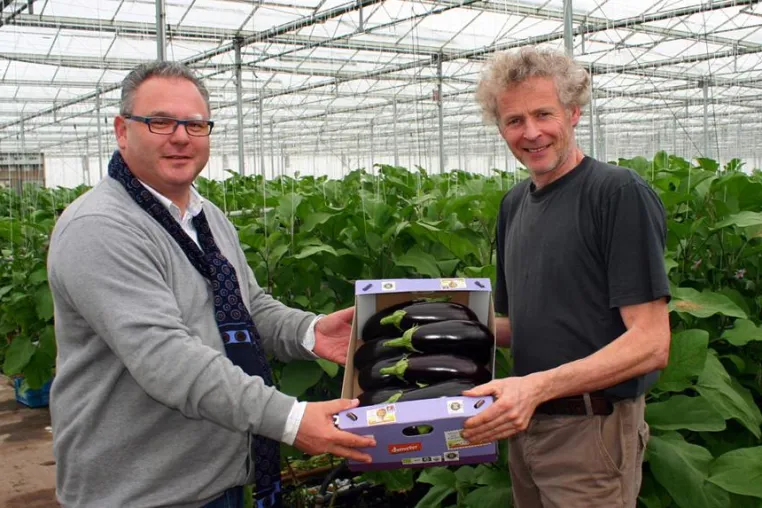 Bild: Bio-Aubergine überzeugt mit Geschmack und Köpfchen