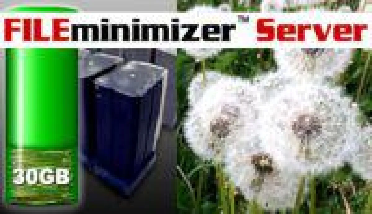 Speicherplatz sparen mit FILEminimizer Server