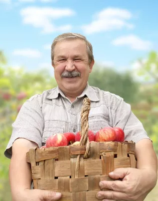 Apfelmärkte haben Hochsaison Bild: Apfelmärkte haben Hochsaison