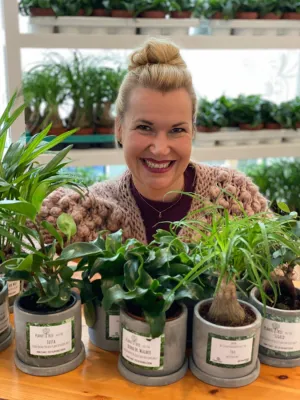 Bild: Planet Tree versendet Drachenbäume und forstet den heimischen Wald auf