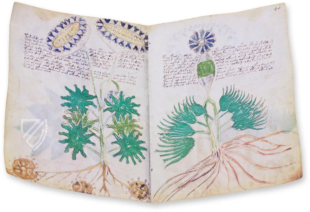 Das Voynich-Manuskript: Das mysteriöseste Buch der Welt