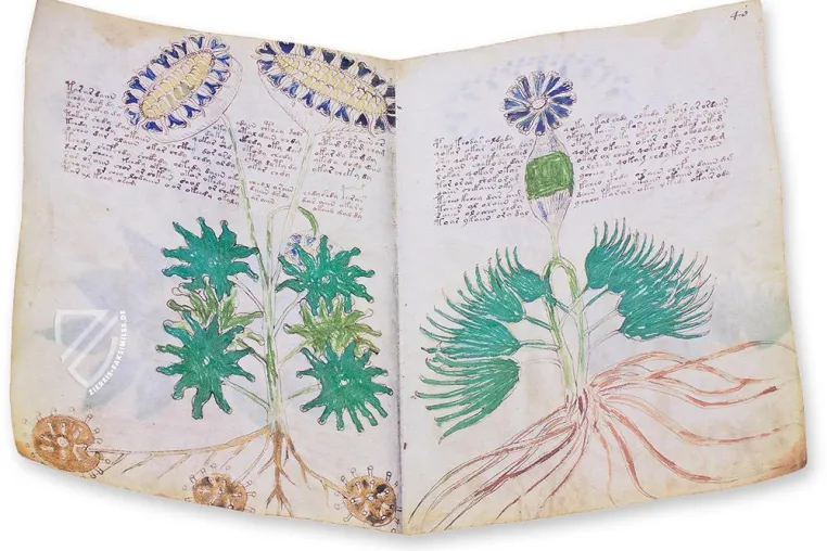 Bild: Das Voynich-Manuskript: Bald als Faksimile?