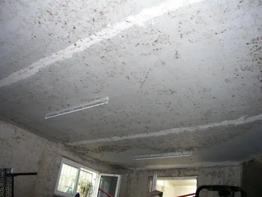 Hochwasser vorbei - Infektionsgefahr bleibt Bild: Hochwasser vorbei - Infektionsgefahr bleibt