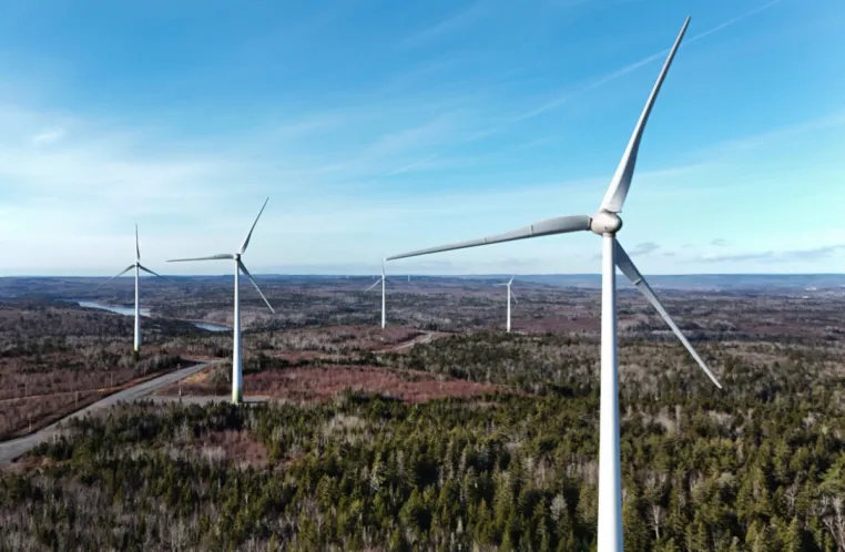 Windräder statt Wildnis - wie Deutschlands Energiewende Kanadas Natur bedroht Bild: Windräder statt Wildnis - wie Deutschlands Energiewende Kanadas Natur bedroht