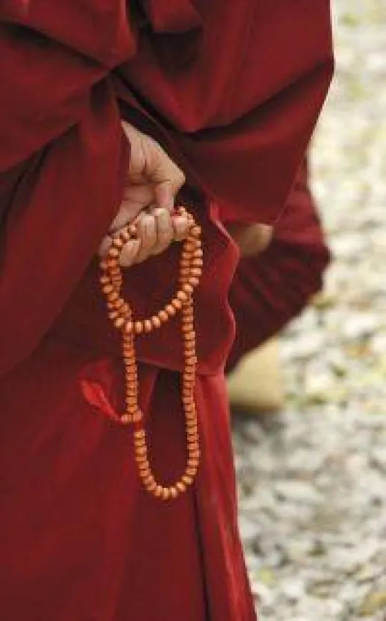 BU: Mönch, Foto: Wikinger Reisen. Abdruck honorarfrei, bitte nur mit Quellenangabe. Foto senden wir gern in hoher Auflösung zu. Bitte per Mail bei der Pressestelle anfordern.