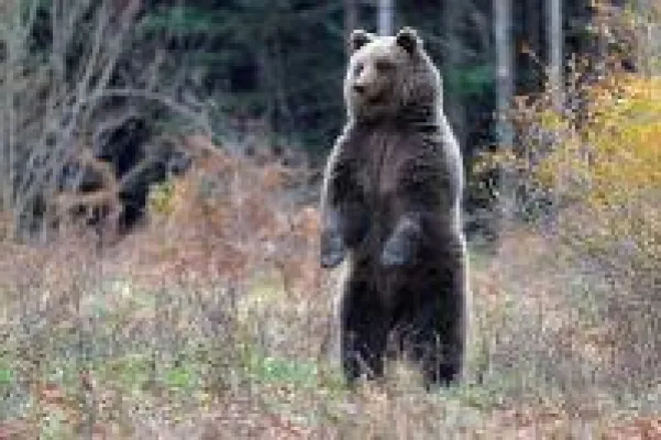 Bild: Wander-Wunderland