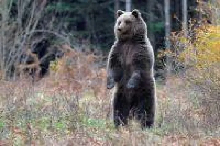 Bild: Wander-Wunderland