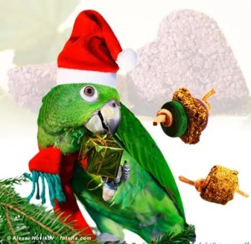 Bild: Der Weihnachtsmann hat einen Vogel