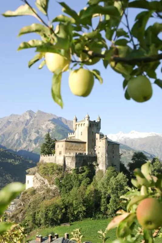 Castello S. Pierre mit Äpfeln