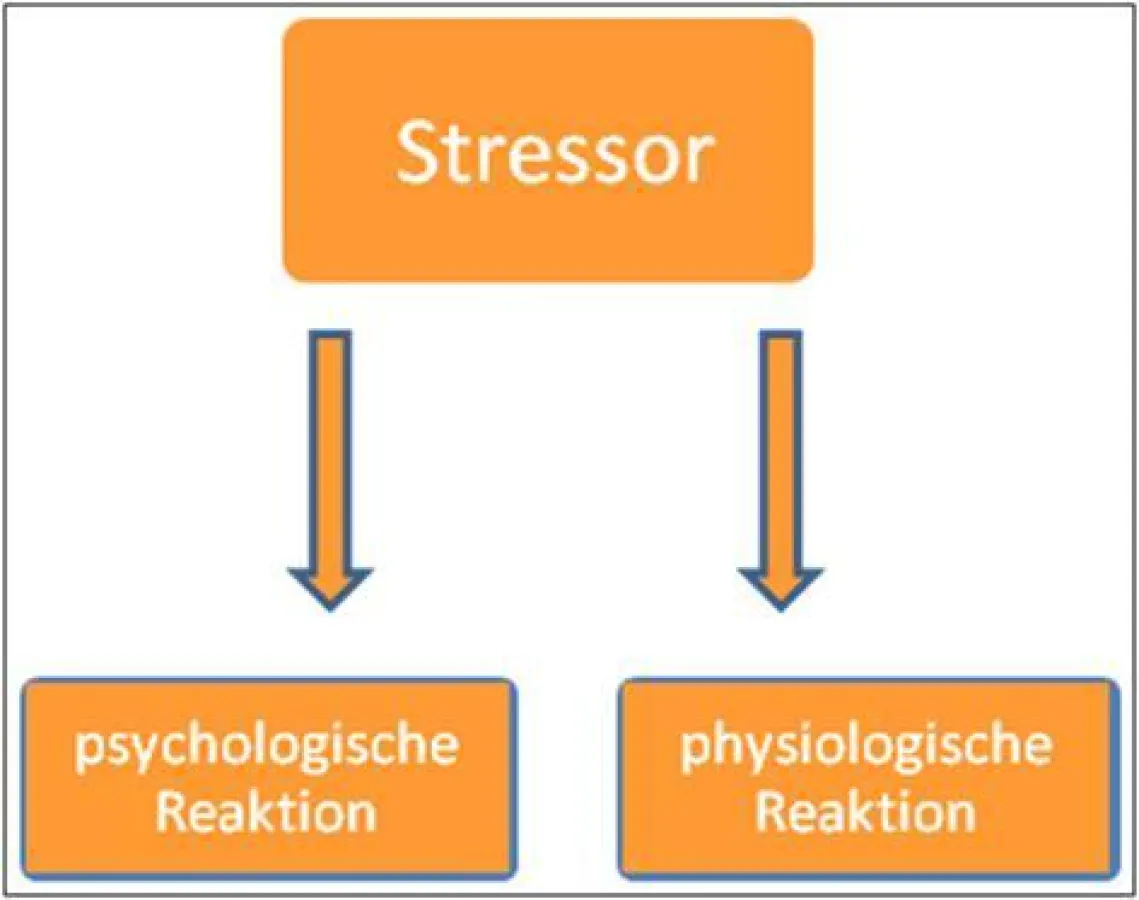 Die drei wesentlichen Aspekte des Stresskonzeptes