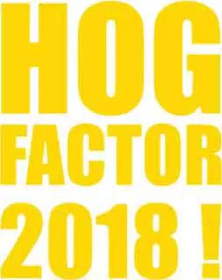 Jetzt anmelden zum HOG Factor 2018! Bild: Jetzt anmelden zum HOG Factor 2018!