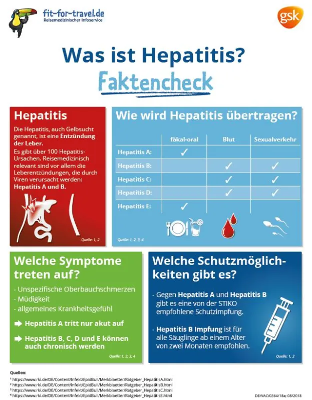 Faktencheck zum Thema Hepatitis