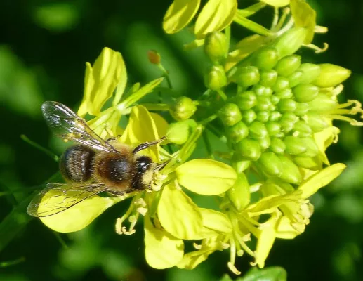 Bild: Fahrradfahren trotz Allergie?