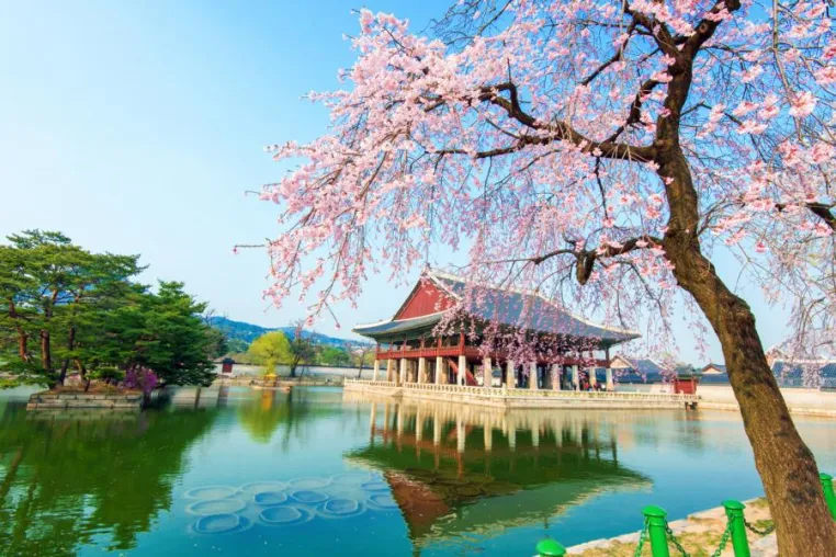 Geheimtipp Südkorea – Das Land der Morgenstille Bild: Geheimtipp Südkorea – Das Land der Morgenstille
