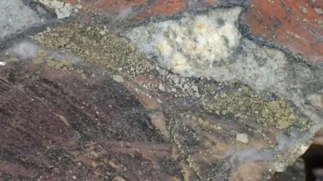 Bild: Jahresendrallye beim Gold